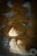 How To Make Cocoa Snickerdoodles