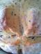 How To Make Soybean Loaf