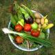 How To Make Spanish Relish