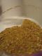 How To Make Best Spice Blend