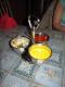 How To Make Spiced Onion Raita