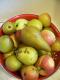 Spiced Pears