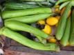 How To Make Spicy Chilled Fruit Salad