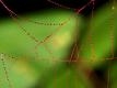 How To Make Spiders' Webs