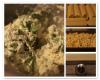 Spinach And Cheese Stuffed Manicotti