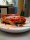 How To Make Speedy Spinach Lasagne