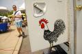 Spirited Chicken