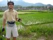 How To Make Spring Paddy Rice