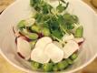 Spring Salad Radish Dressing 