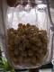 How To Make Sprouted Pulses