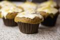 Squash Muffins Recipe
