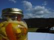 How To Make Squash Pickles
