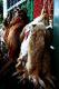 How To Make Stewed Pheasant