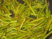Stir Fried Green Beans With Variations