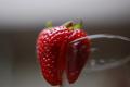 How To Make Deluxe Strawberry Cream Salad
