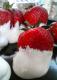 How To Make Strawberries Dipped In White Chocolate
