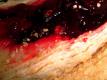 How To Make Strudel Pastry