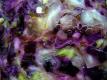 How To Make Stuffed Red Cabbage