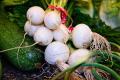 How To Make Sugared Onions