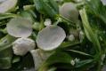 How To Make Sunchoke Salad