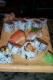 How To Make Sushi Rice