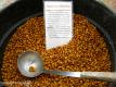 Swedish Brown Beans
