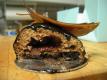 How To Make Sweet Chocolate Glaze