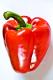 How To Make Sweet Pepper Rainbow