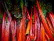 Swiss Chard Loaf