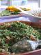 How To Make Bulgur Tabouleh
