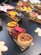 How To Make Petite Apple Tarts