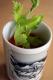 How To Make Tomato And Celery Soup