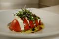 Tomato And Cheese Salad Mold