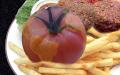 How To Make Tomatoes In Layers