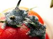 How To Make Clam Tomato Mold