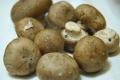 How To Make Turkey With Mushrooms And Marsala