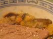How To Make Turkey And Mushroom Bloomer