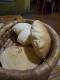 How To Make Unleavened Bread