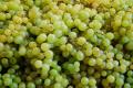 How To Make Ajo Blanco Con Uvas