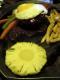 How To Make Vegetable Burgers