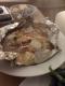 How To Make Vegetable Meat Dish