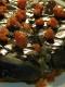 Vegetable Tian