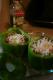 How To Make Vegetarian Stuffed Peppers