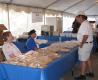 Walnut Festival Cookies Recipe