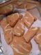 How To Make Water Biscuits