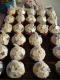 How To Make White Velvet Frosting
