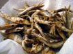 Whitebait