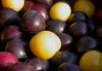 How To Make Wild Plum Delight