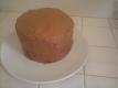 How To Make Winter Wonderland Cake