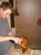 How To Make Zuppa Dei Piatti